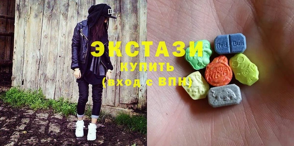 ECSTASY Бородино