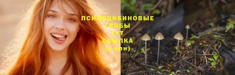 Галлюциногенные грибы Magic Shrooms  Верхоянск 